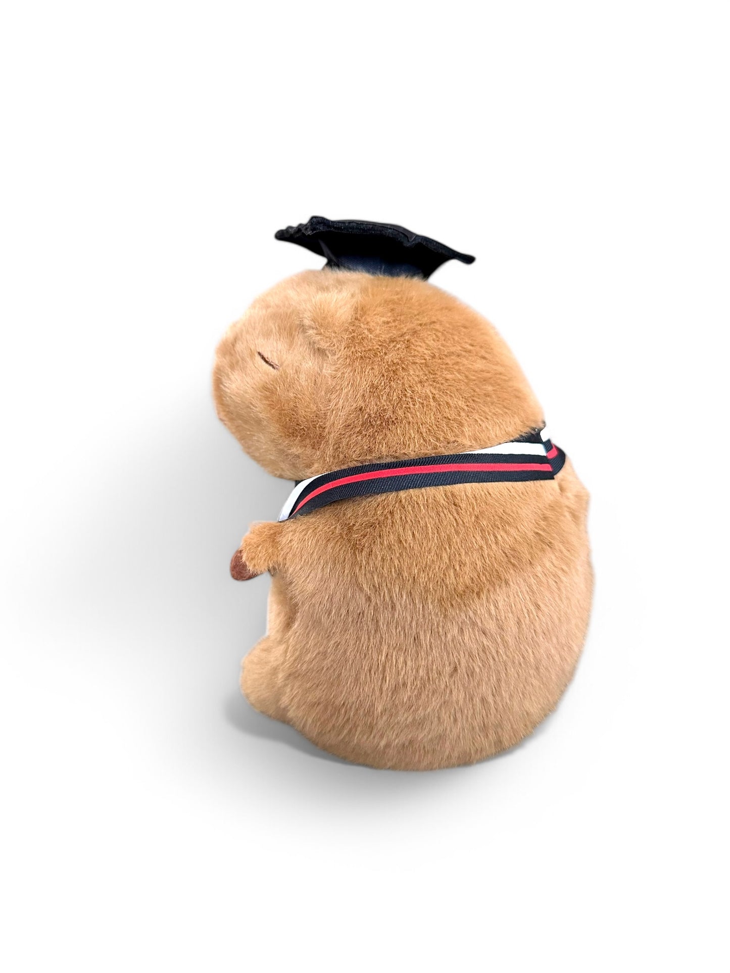 Capibara Graduado de peluche 20 cm Set 2 piezas C-ECO