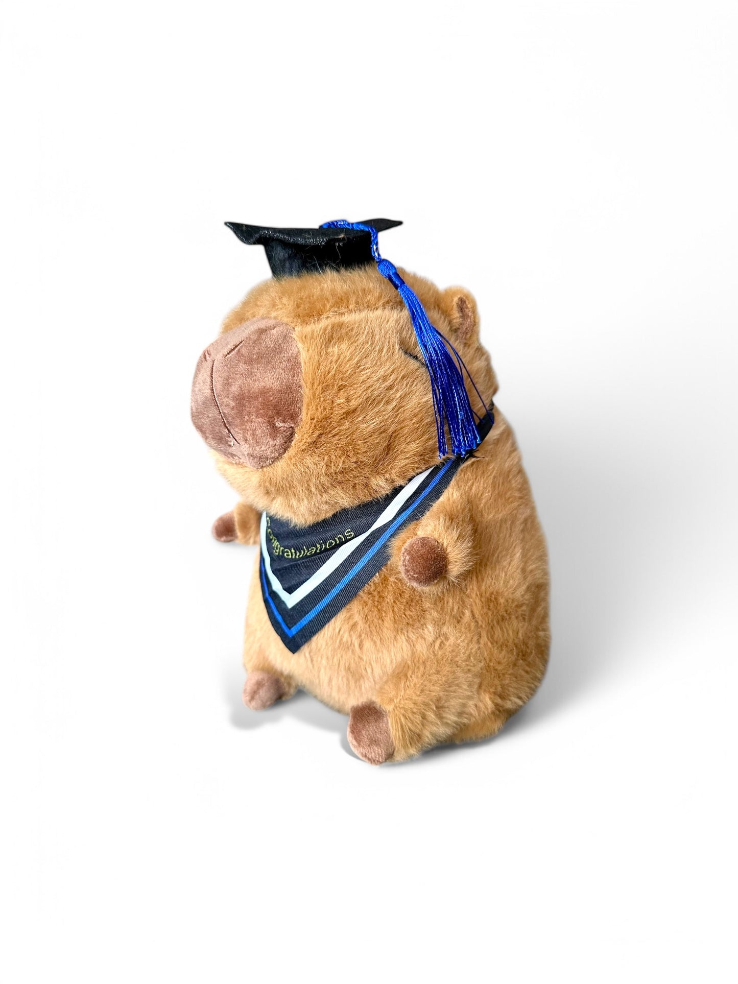 Capibara Graduado de peluche 20 cm Set 2 piezas C-ECO