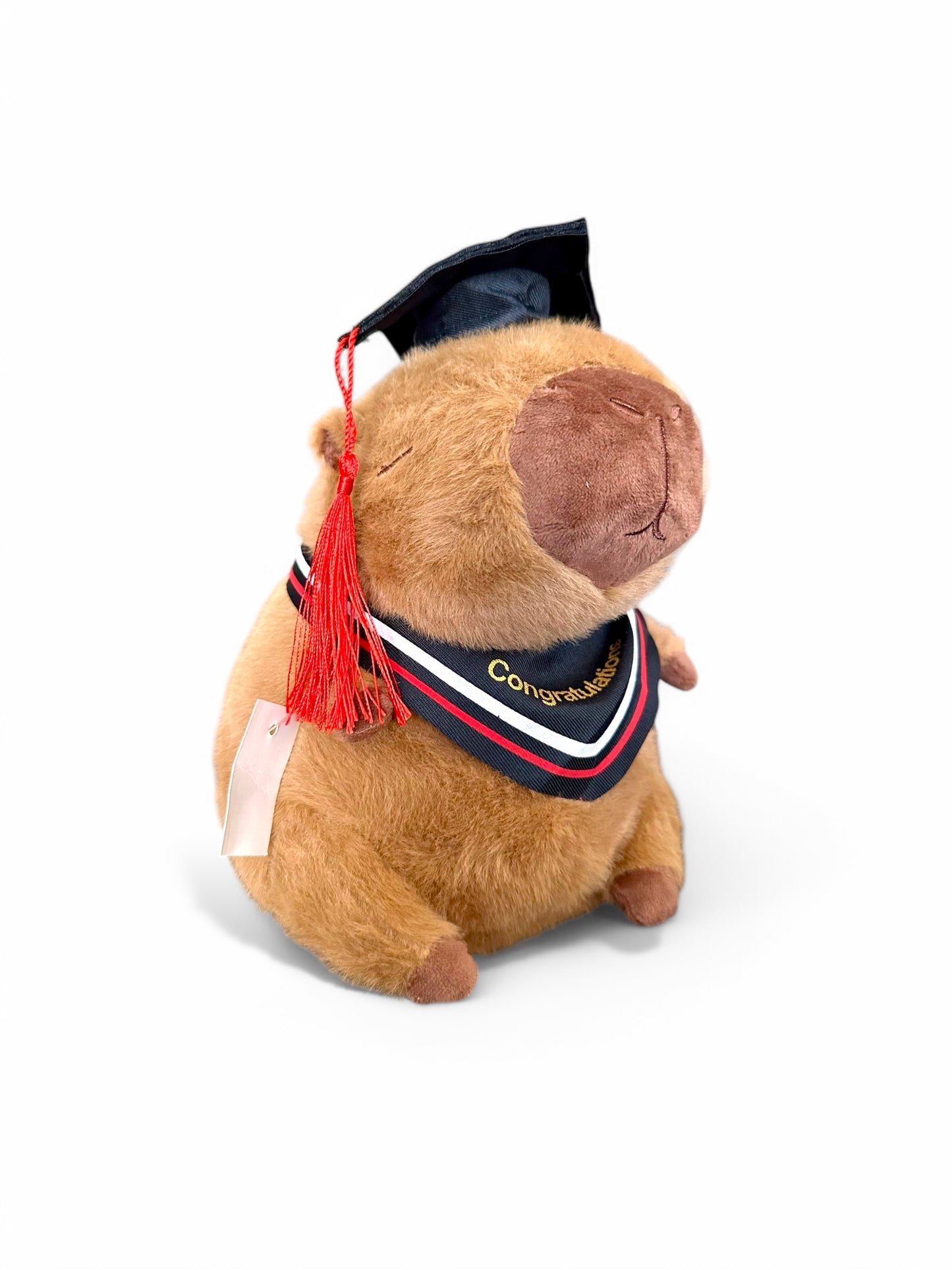 Capibara Graduado de peluche 20 cm Set 2 piezas C-ECO