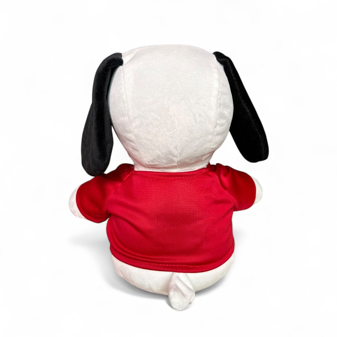 Snoopy con sudadera de peluche 35 cm Nacional C3-S/C