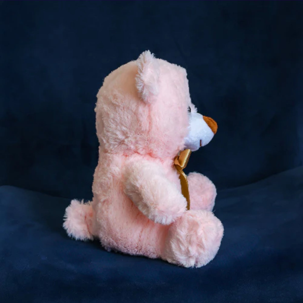 Oso Lucas 25 cm para recuerdos Importación C1-A091