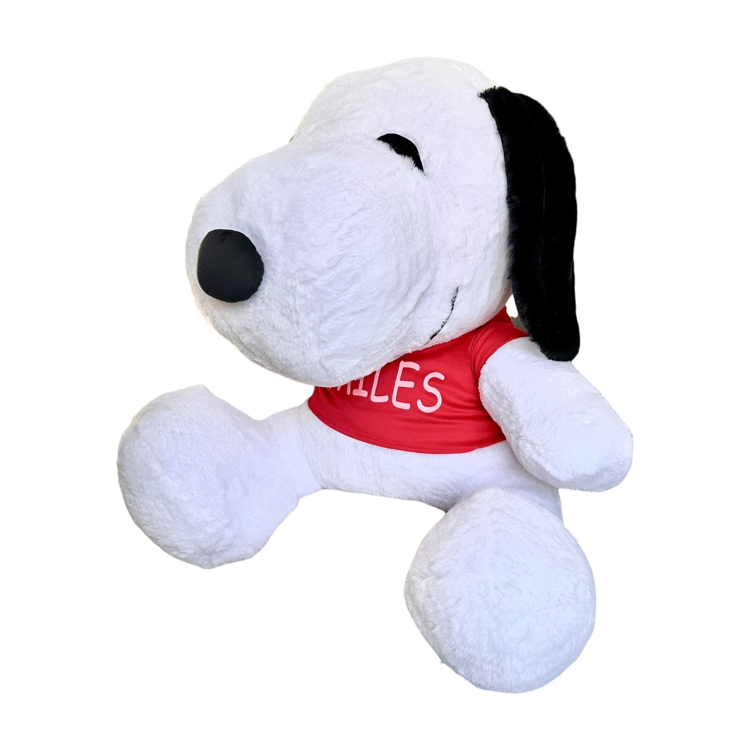Snoopy de peluche grande 70 cm Nacional GDE-S/C