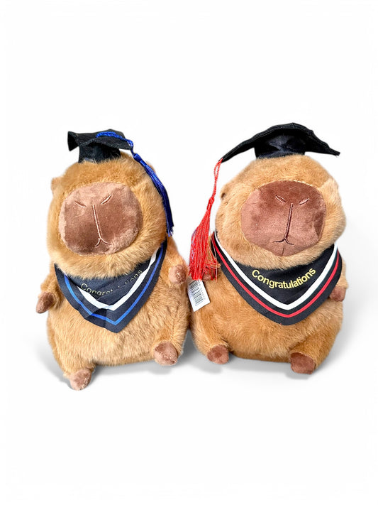 Capibara Graduado de peluche 20 cm Set 2 piezas C-ECO