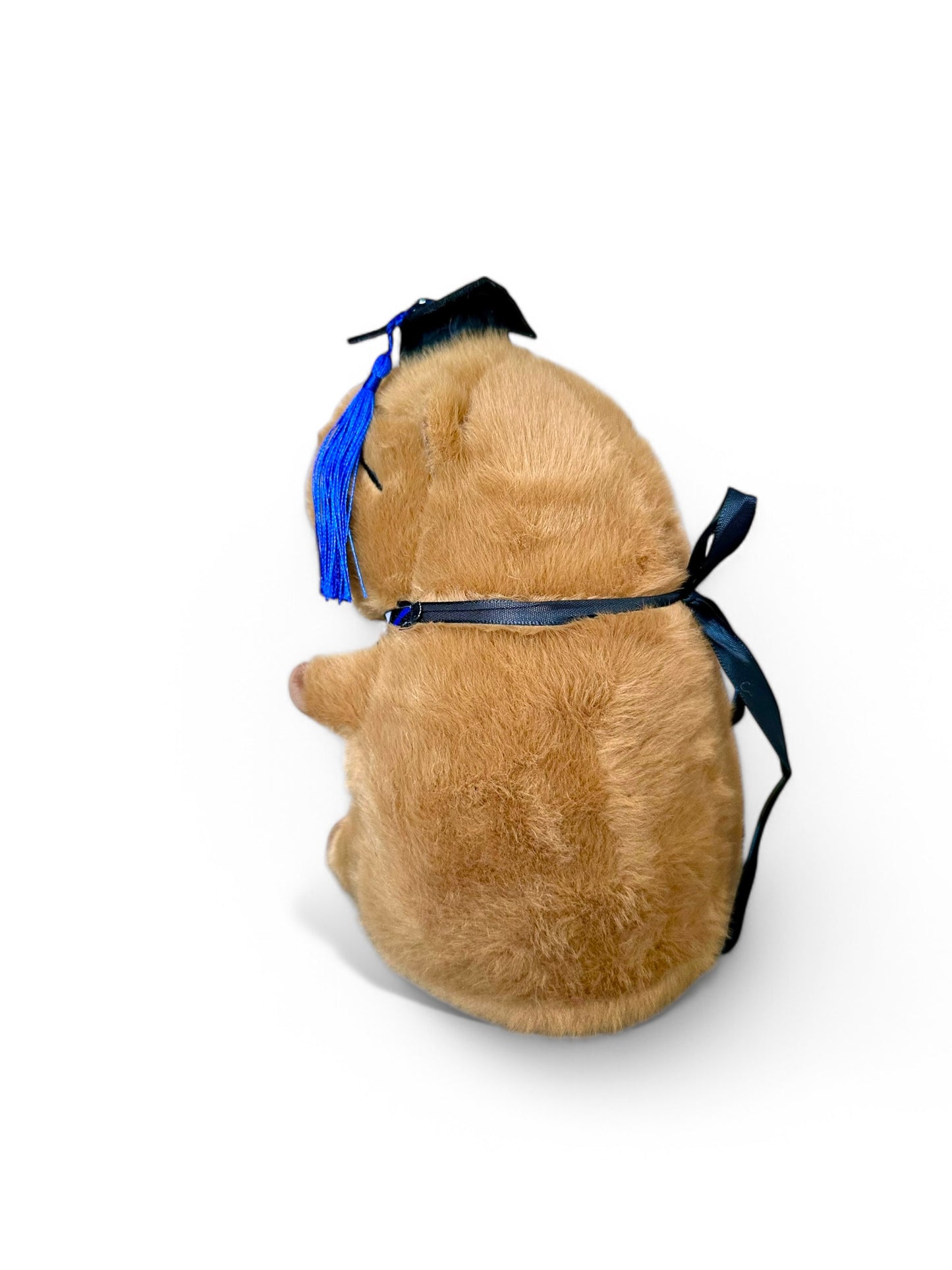 Capibara Graduado de peluche 20 cm Set 2 piezas C-ECO
