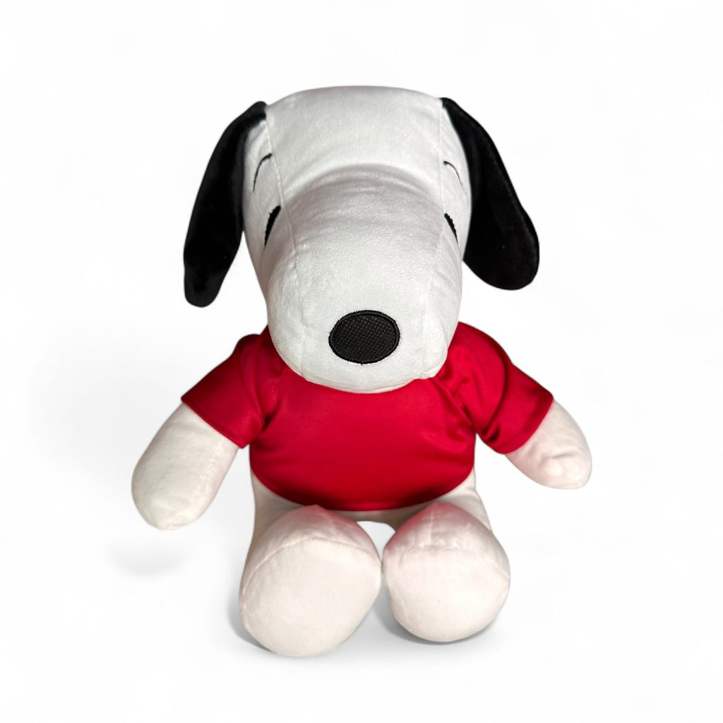 Snoopy con sudadera de peluche 35 cm Nacional C3-S/C