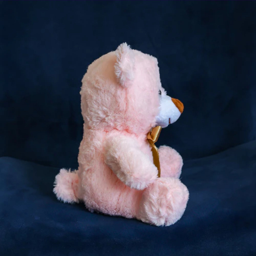 Oso Lucas 25 cm para recuerdos Importación C1-A091