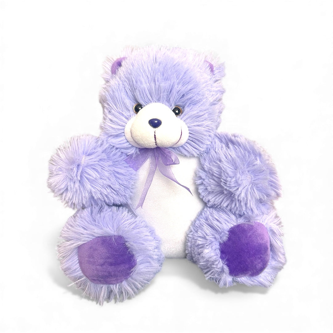 Oso De Cuadro de peluche 23 cm