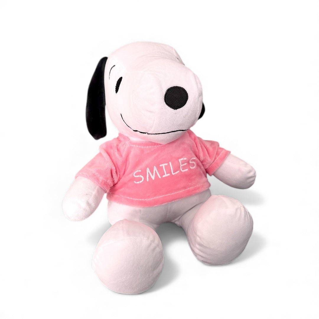 Snoopy con sudadera de peluche 29 cm Nacional C3-S/C