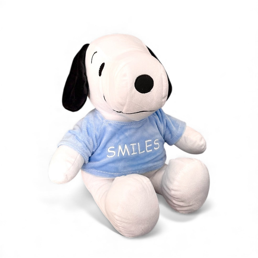 Snoopy con sudadera de peluche 29 cm Nacional C3-S/C