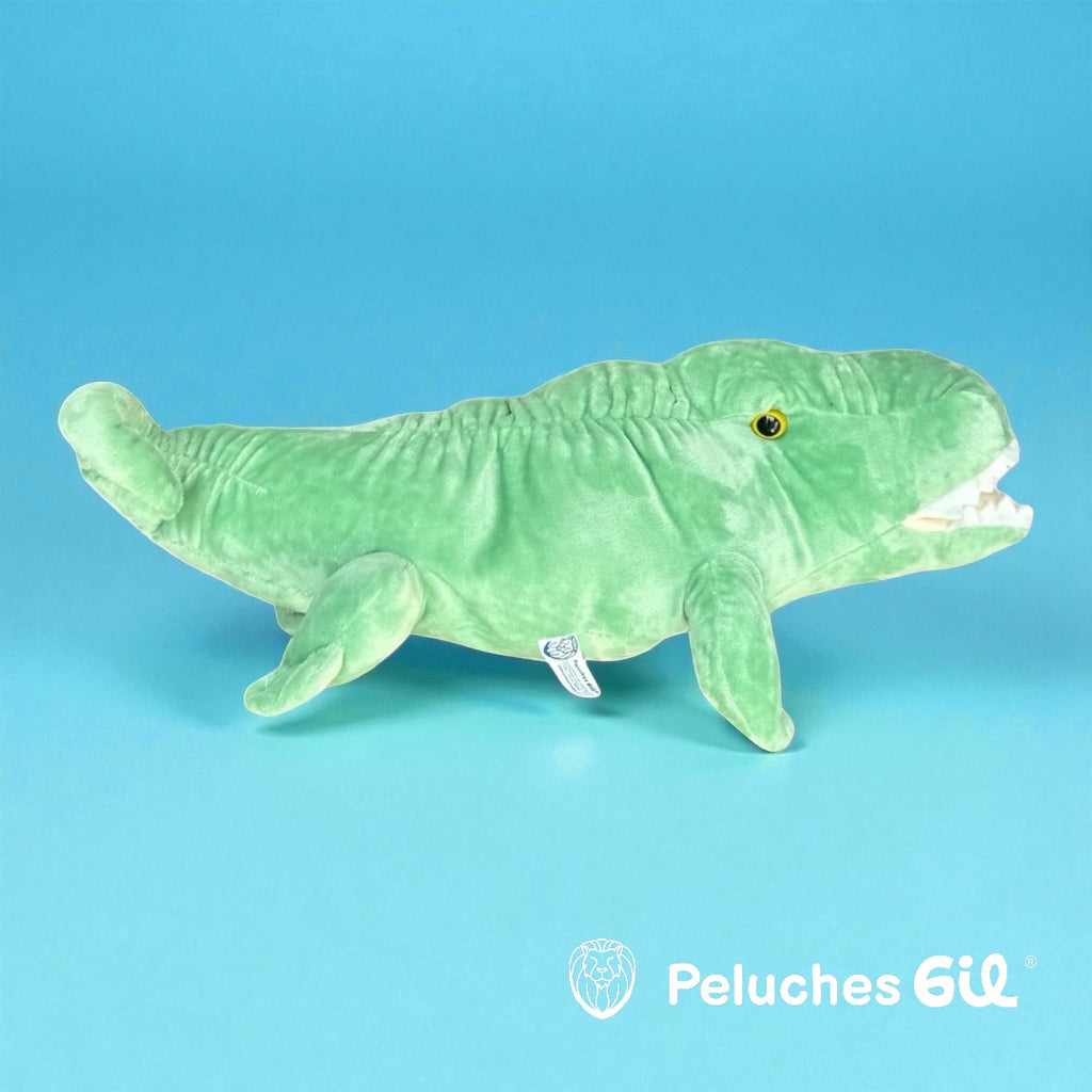 Cocodrilo de peluche 40 cm verde S/C-L1