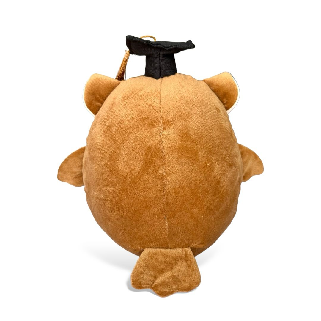 Búho Bola de graduación 30 cm